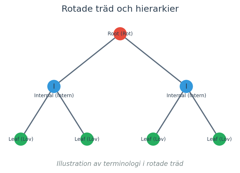 Illustration av terminologi i rotade träd